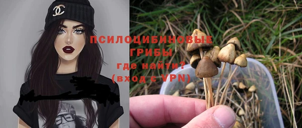 винт Киренск