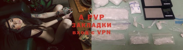 стафф Киреевск