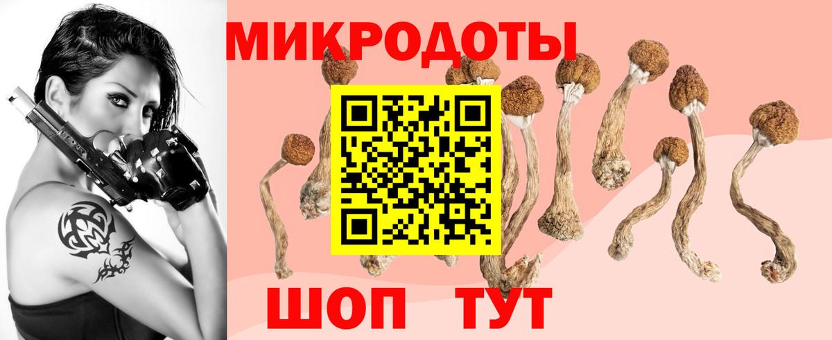 Псилоцибиновые грибы прущие грибы  Галлюциногенные грибы MAGIC MUSHROOMS  Шарыпово 