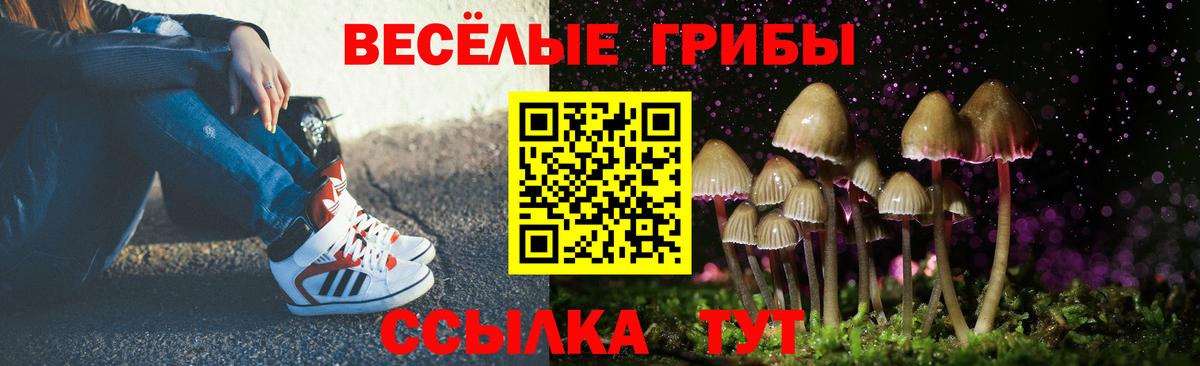 Галлюциногенные грибы мухоморы  Вход с VPN  Шарыпово 